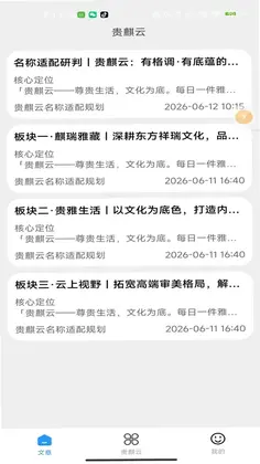 贵麒云预览图