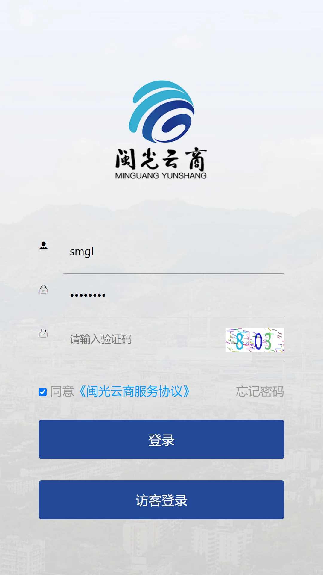 闽光云商预览图