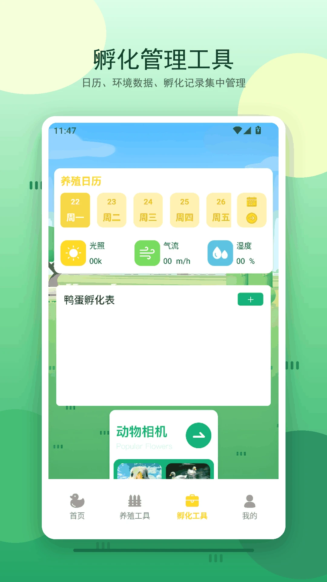 合个互动界面