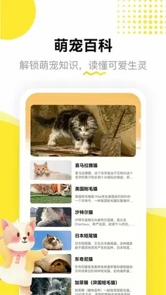 龙猫日记预览图