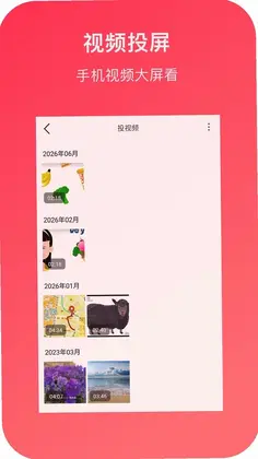 小白投屏预览图