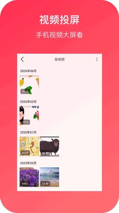 小白投屏预览图