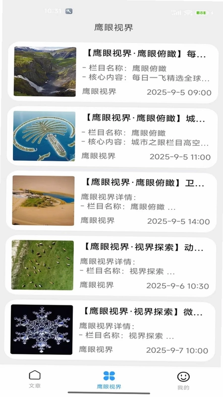 鹰眼视界预览图