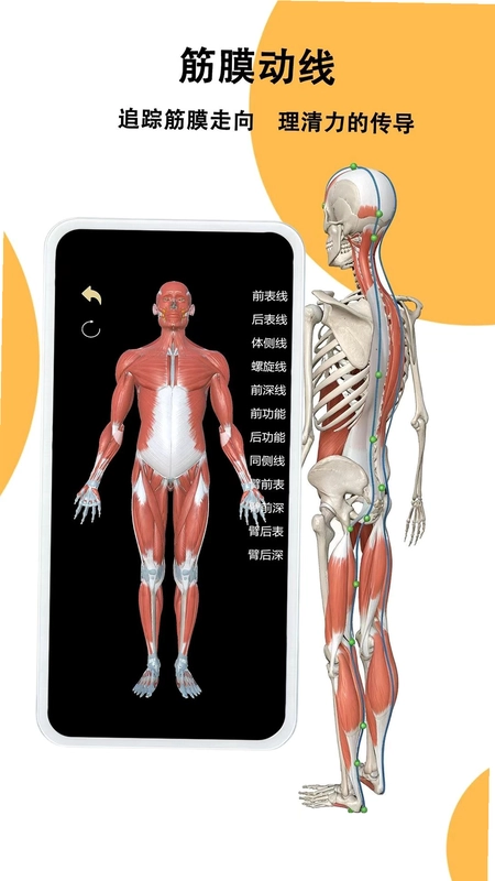 鑫傲然预览图