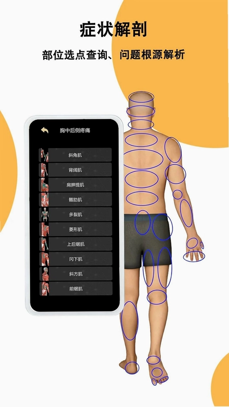 鑫傲然预览图