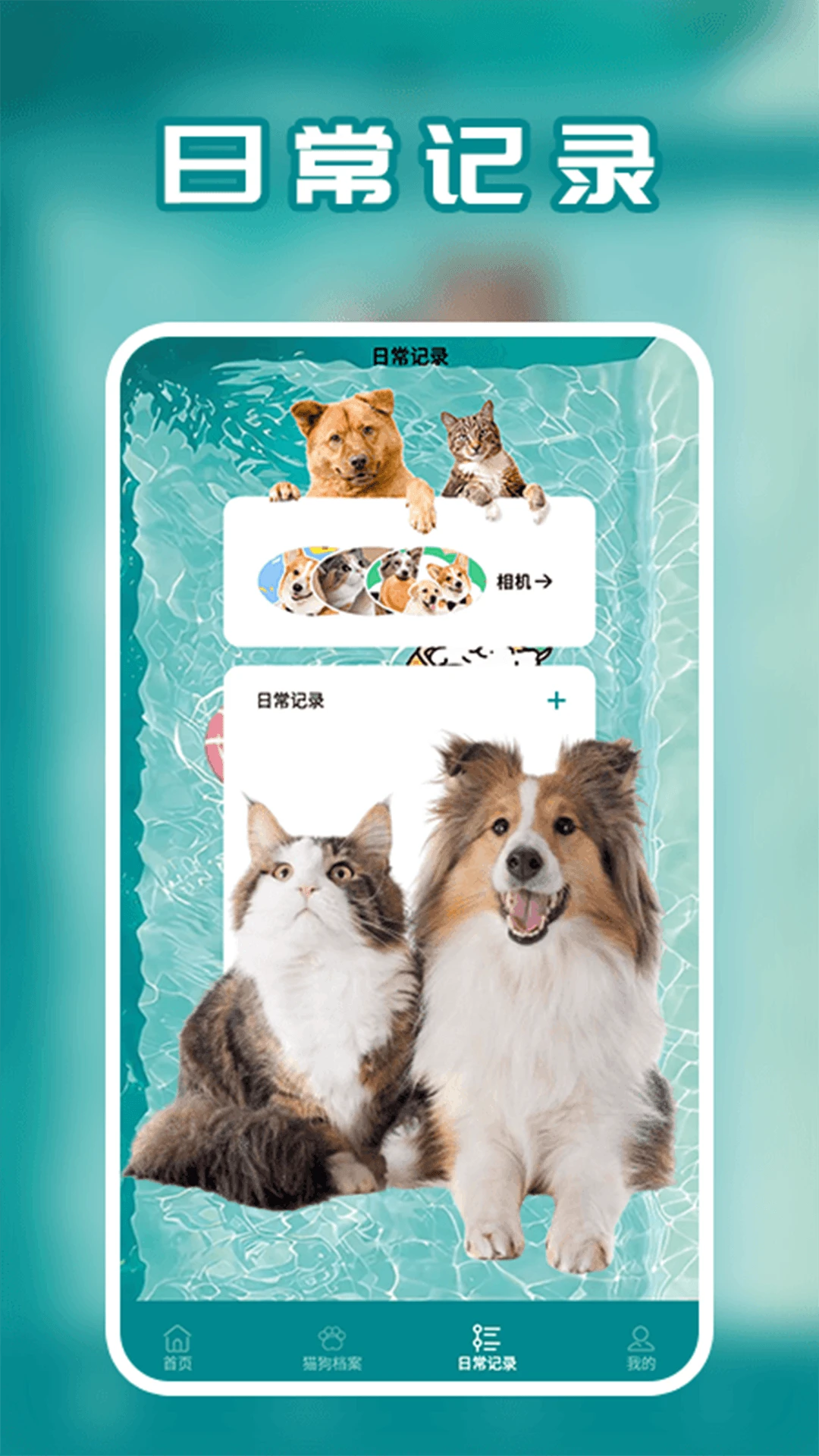 ���ｻ����ʹ�ó���