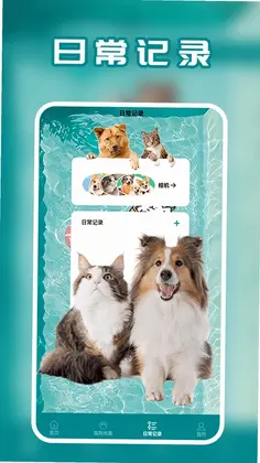 ���ｻ����Ԥ��ͼ