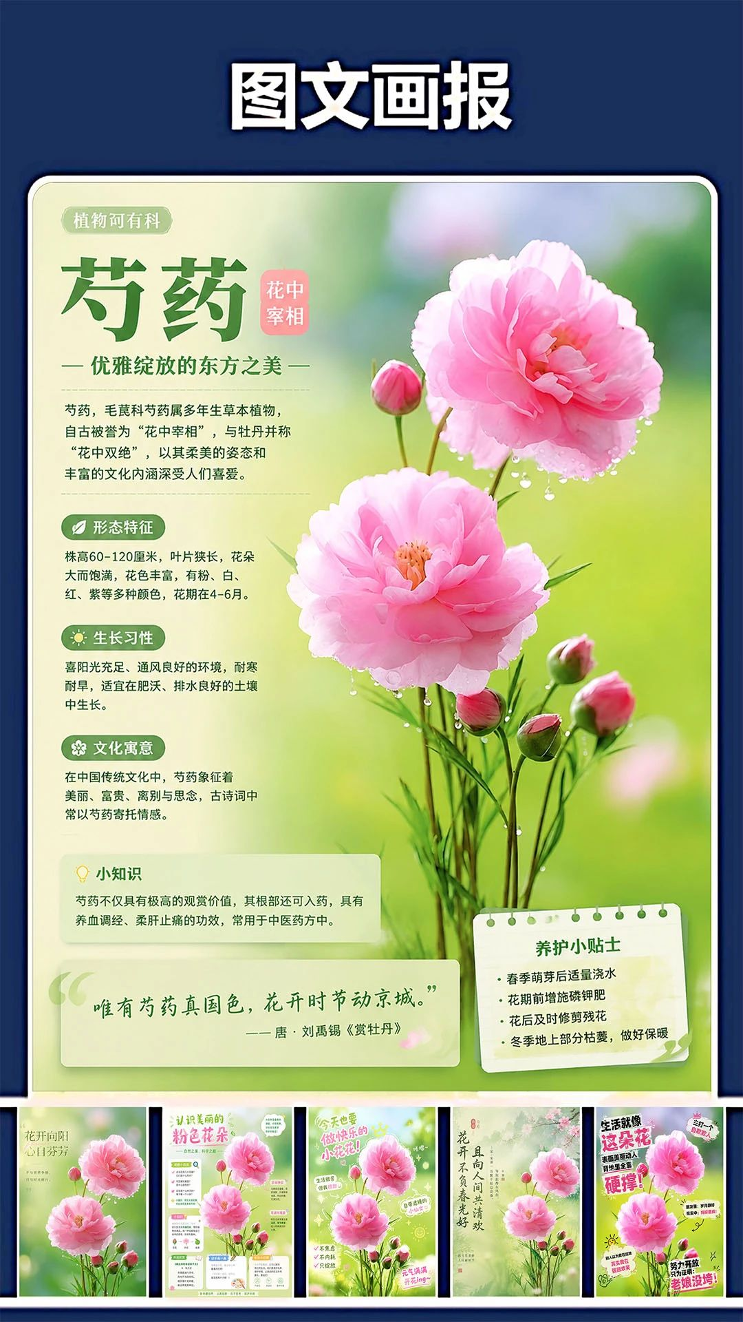 修复P图王画质对比
