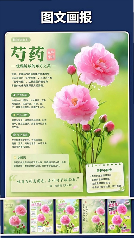修复P图王预览图