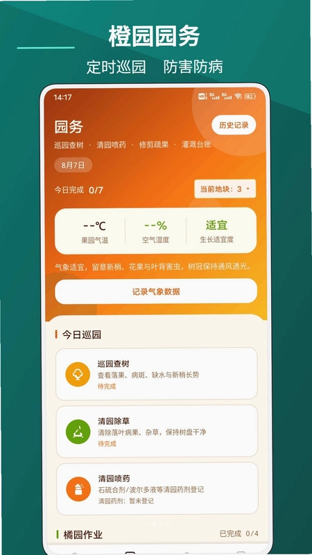 暴富橙预览图