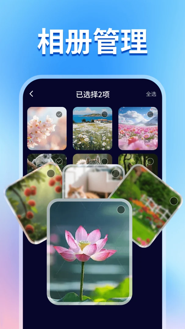 视频格式支持