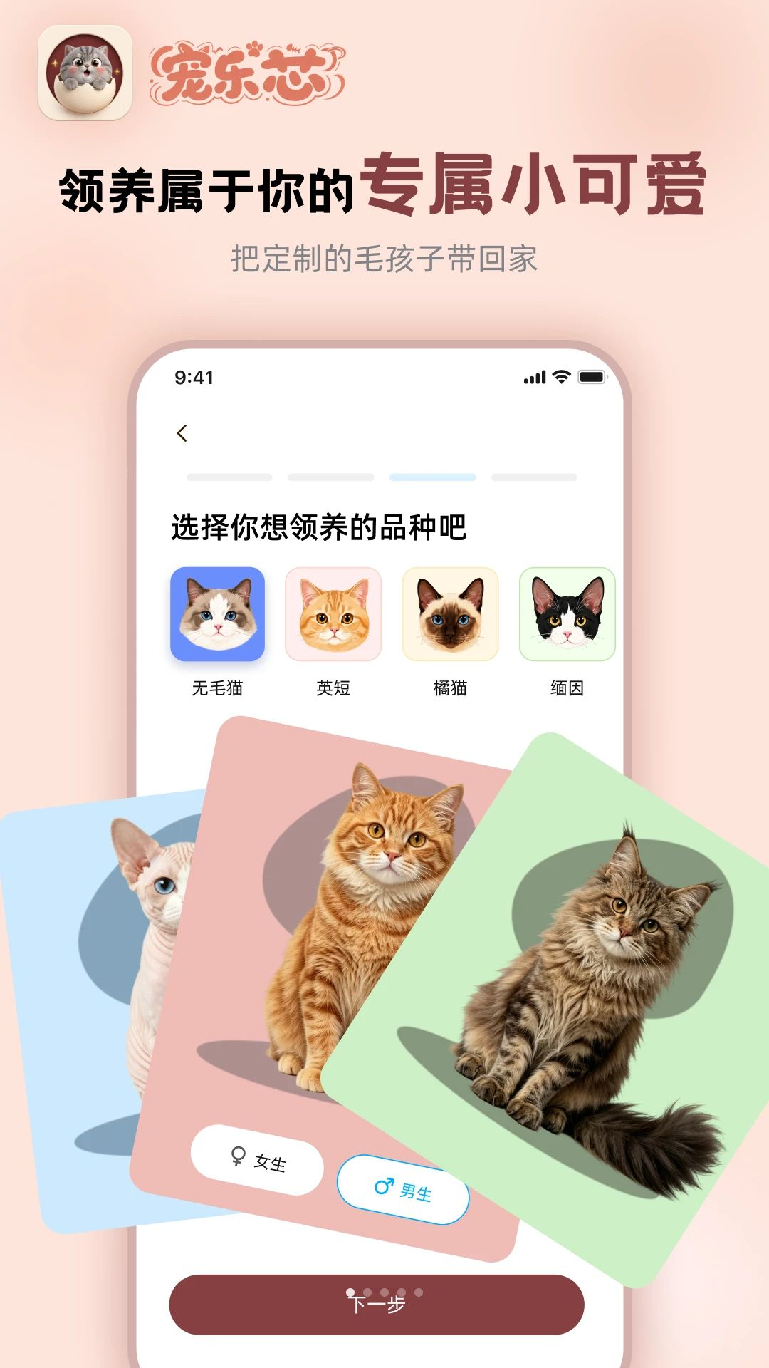 宠乐芯预览图