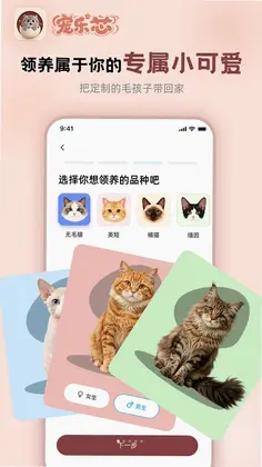 宠乐芯预览图
