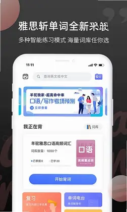 雅思斩单词预览图