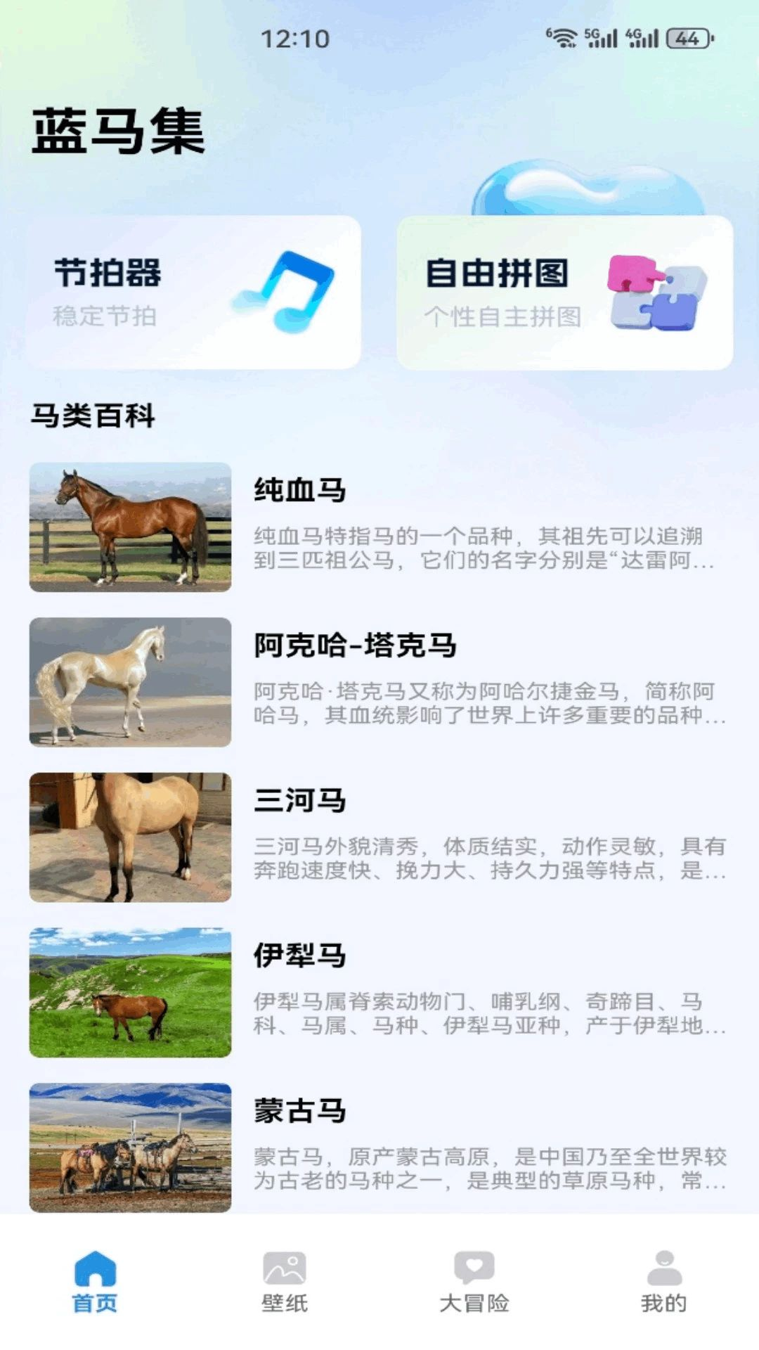 蓝马集界面预览