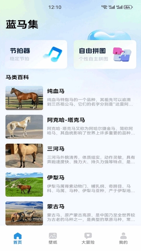 蓝马集预览图