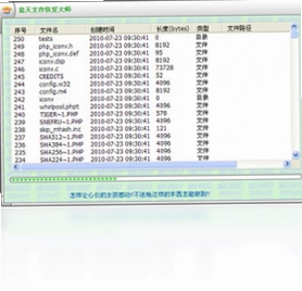 意天文件恢复大师预览图
