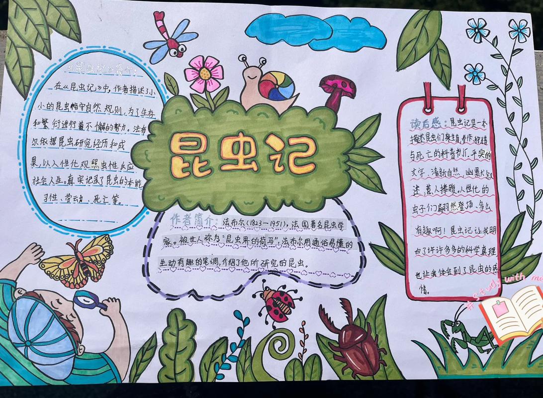奇妙昆虫记手抄报内容昆虫食物大全