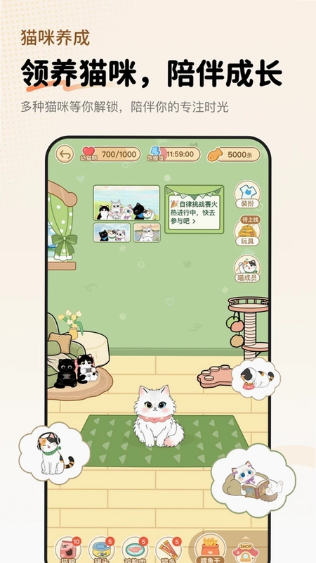 Focat预览图