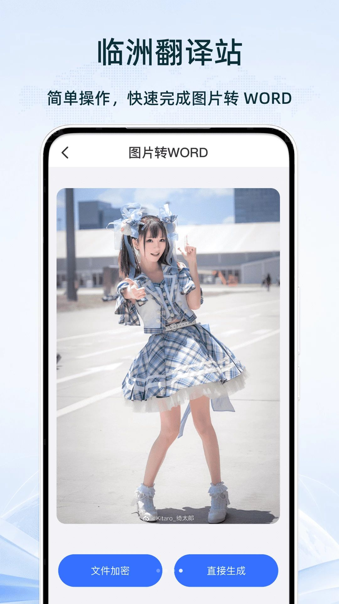 临洲翻译站文档加密保护隐私