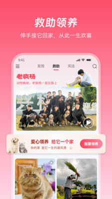 老疯杨救助功能展示