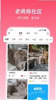 老疯杨预览图