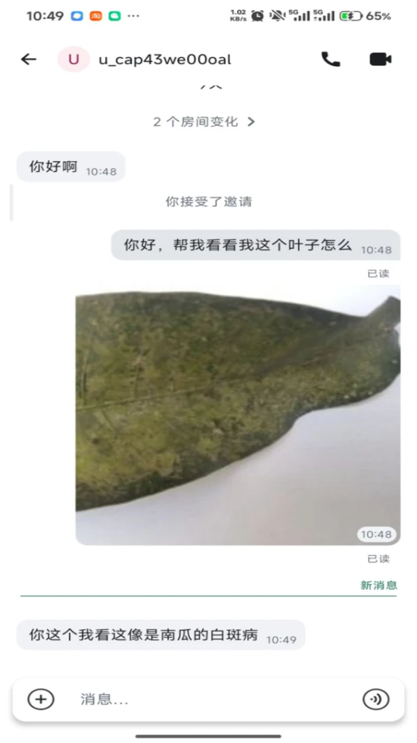 沃力花语音功能