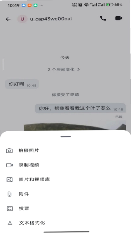 沃力花预览图