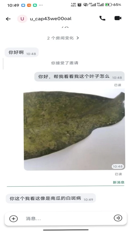 沃力花预览图