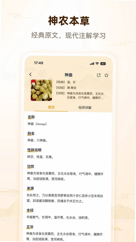 人纪预览图