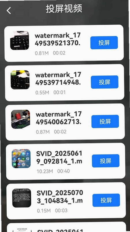 手机电视投屏全免预览图