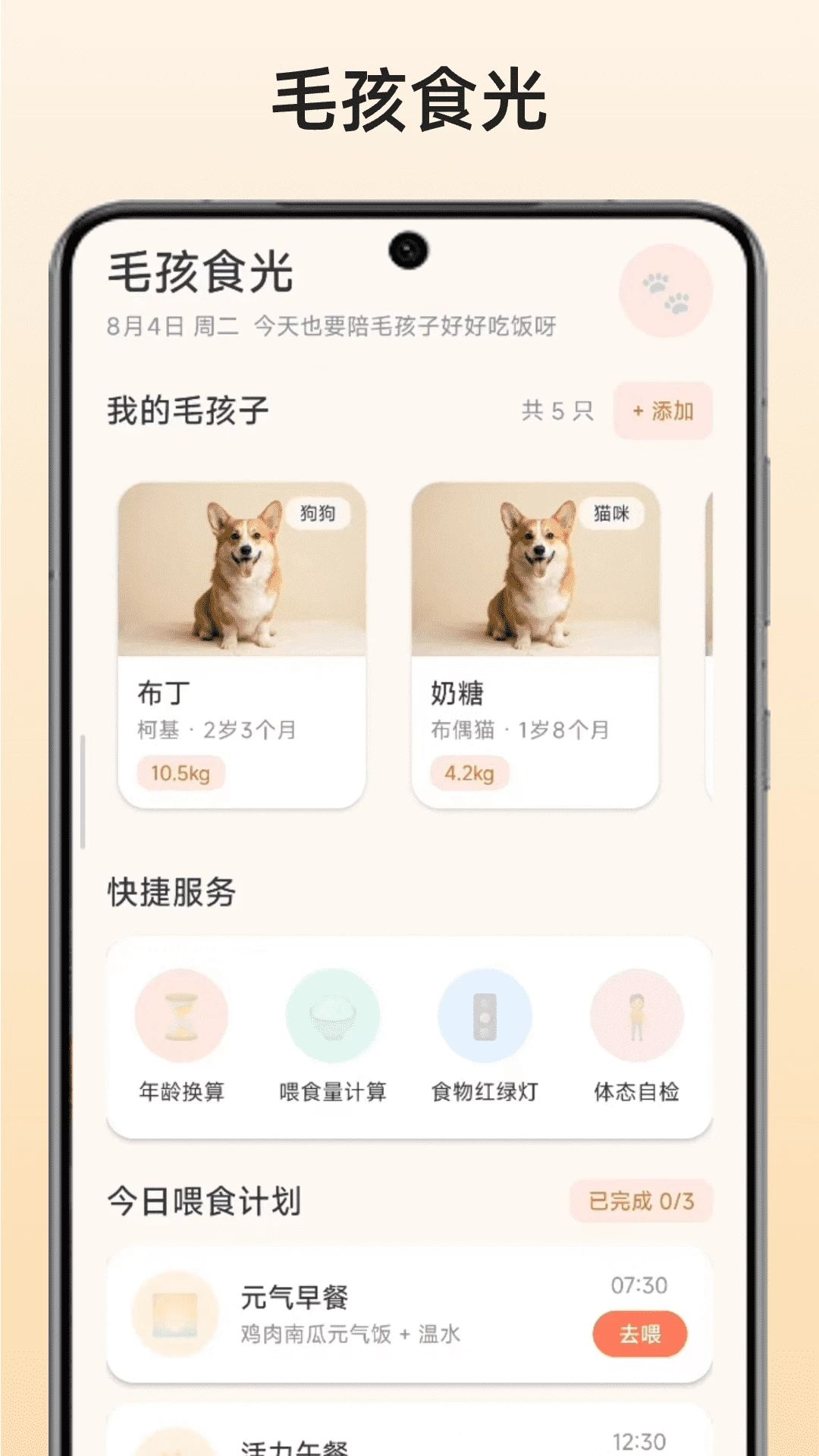 毛孩食光多宠物管理