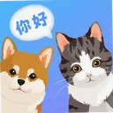 ����è�䷭����5.0.5339 ���°�