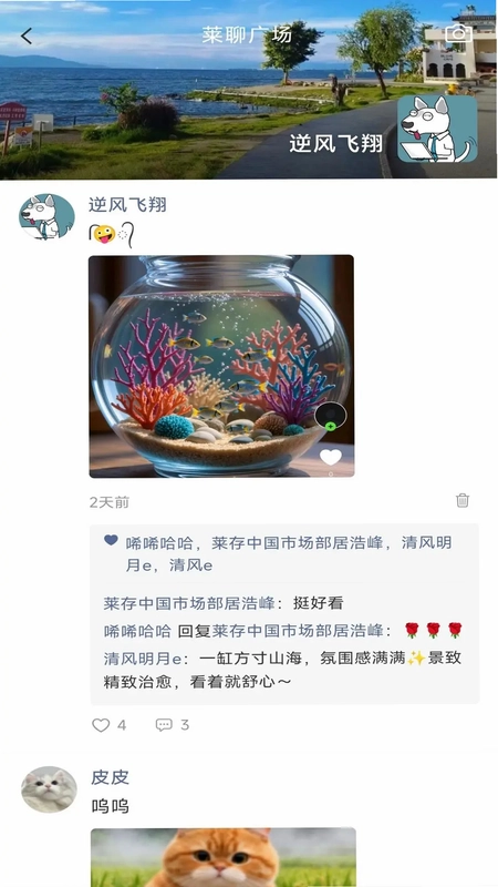 莱聊预览图