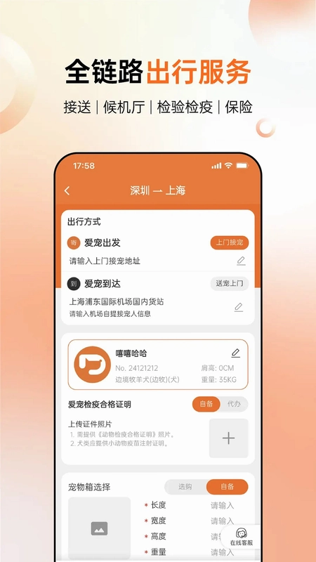 派到预览图