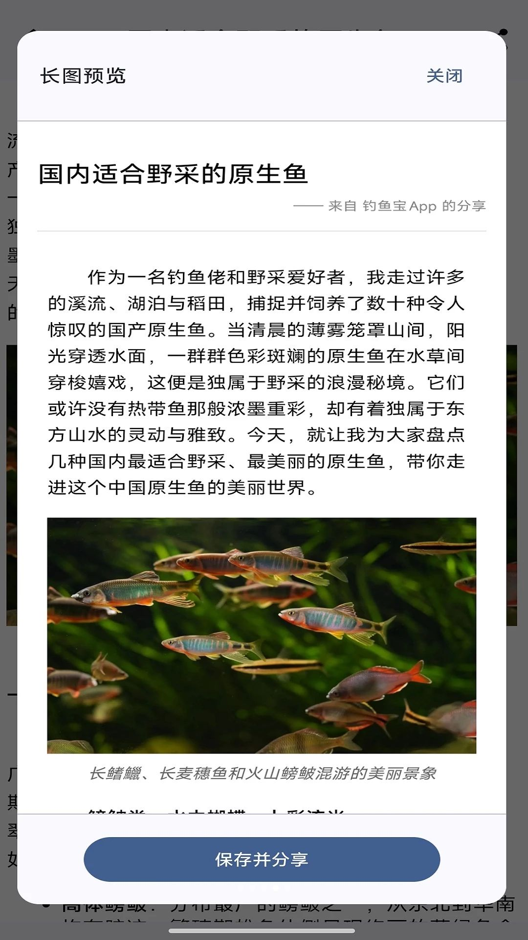 钓鱼宝鱼获记录