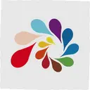 ��������1.6.6 ���°�