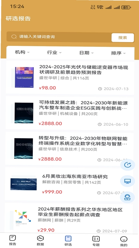 发现报告预览图