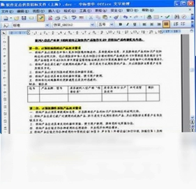 中标普华Office个人版预览图