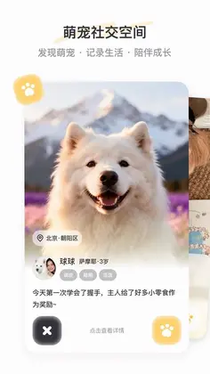 PetSpaceԤ��ͼ