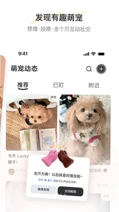 PetSpaceԤ��ͼ