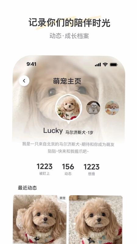 PetSpaceԤ��ͼ