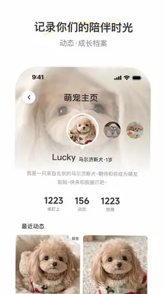 PetSpaceԤ��ͼ
