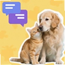 �ȳ�Ի�������1.0.0 ���°�