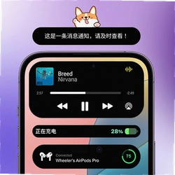 灵动屿小组件最新版