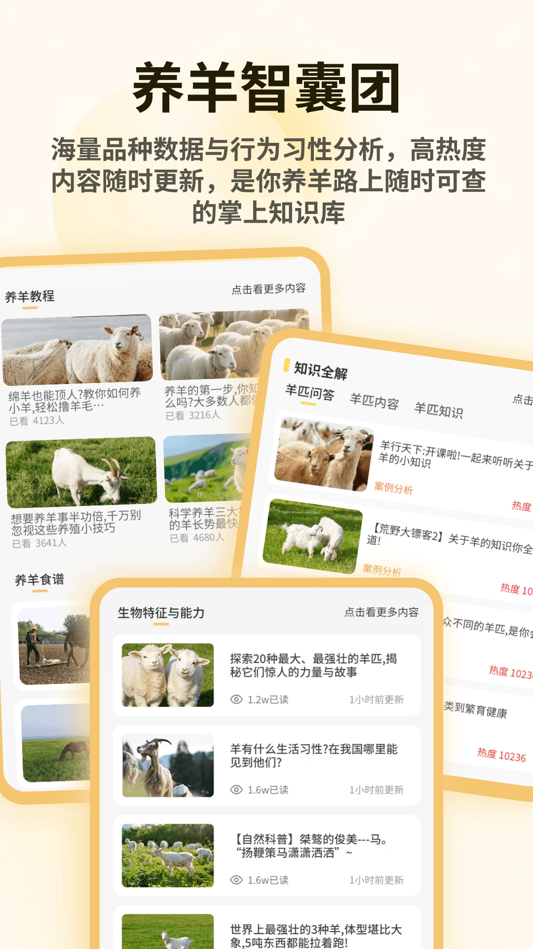 小羊满满2026羊群分类