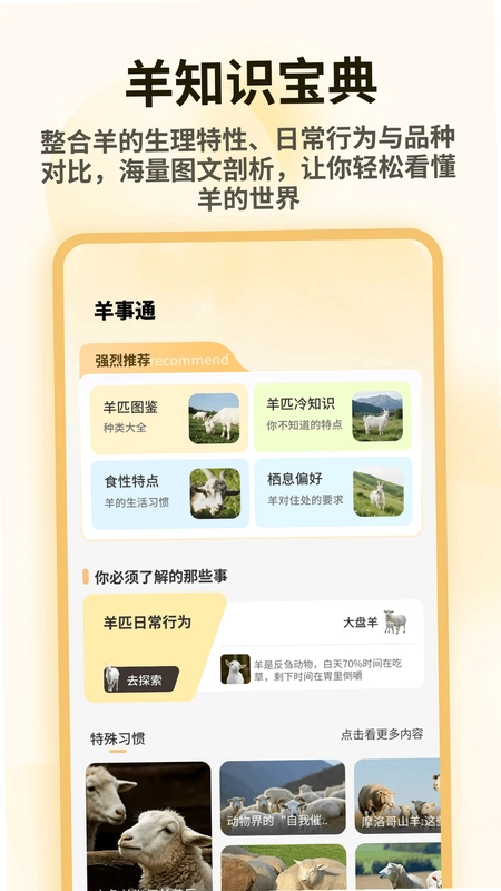 小羊满满2026软件预览图