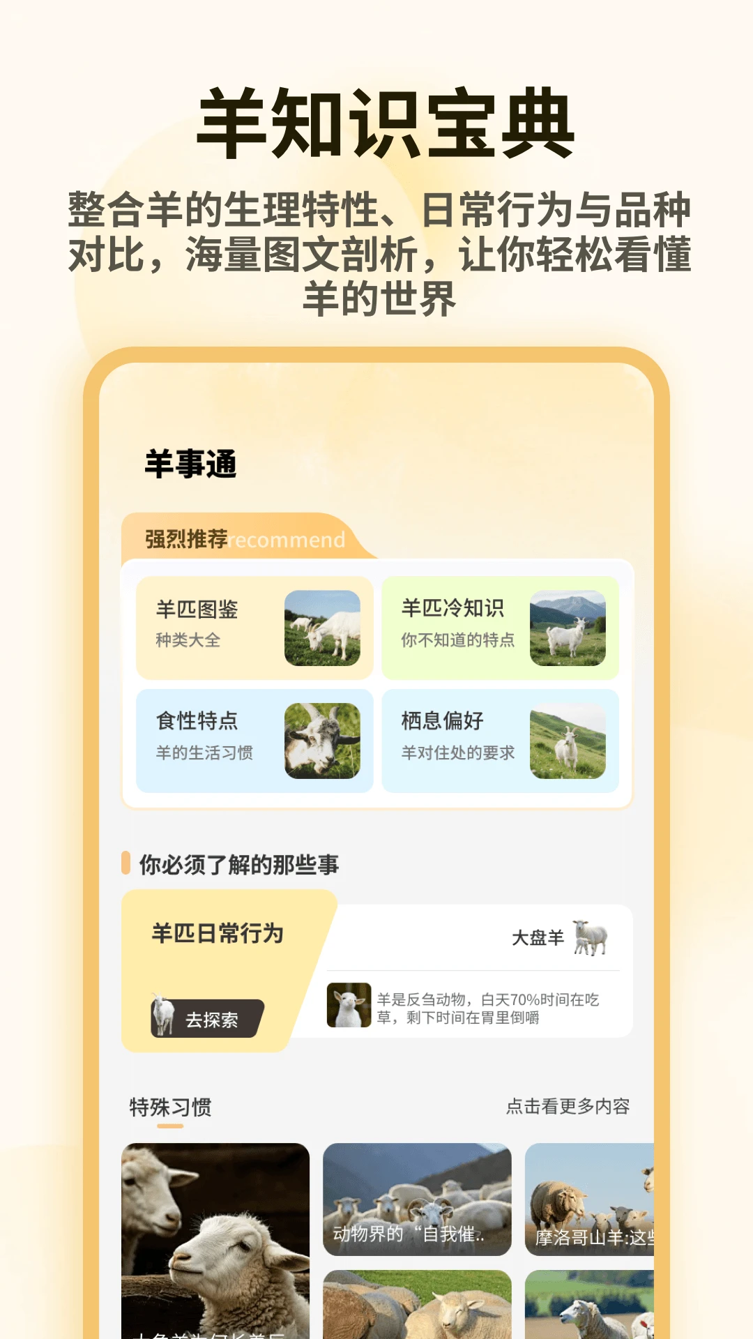 小羊满满2026羊只档案