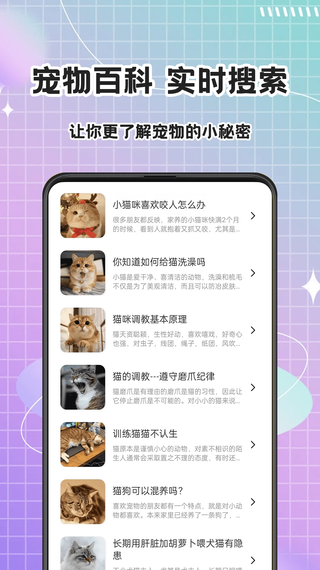 猫语Speaker使用场景