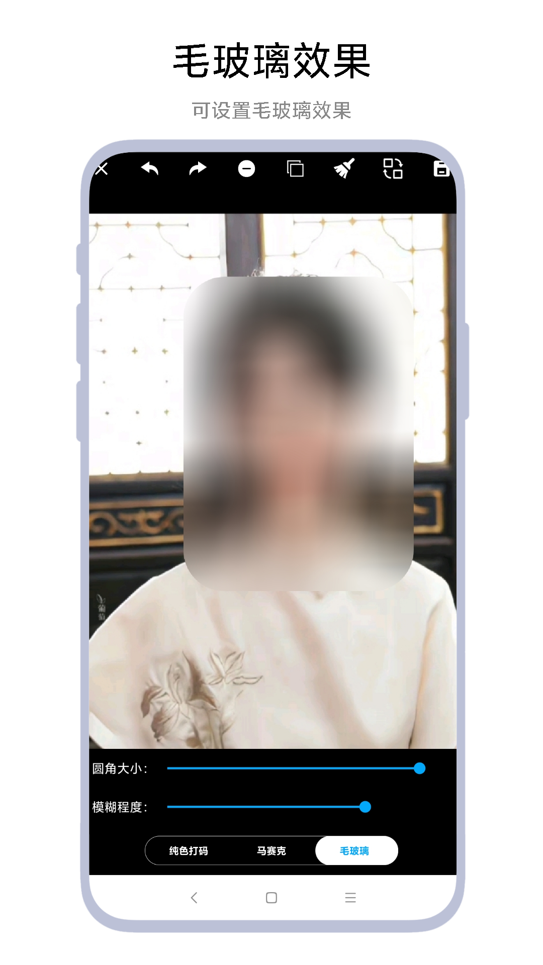 马赛克大师打码效果对比